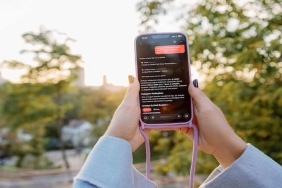 Mevsimlerin Ötesinde Bir İlgi